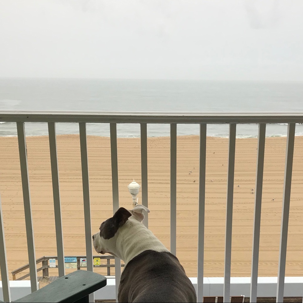 Meet your Posher, Joe